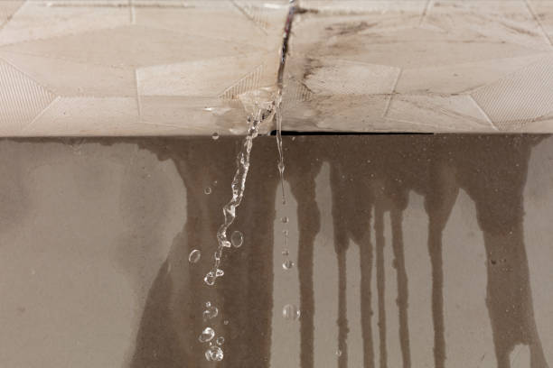 Professional Structural Drying technician working in Rosewood, OH